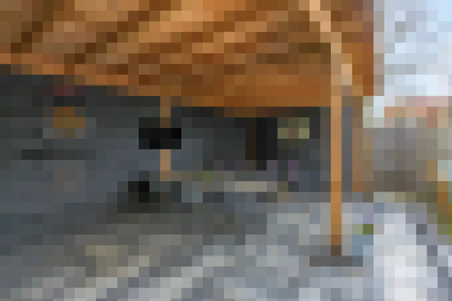Ravenburg 9 Ede thumbnail 51