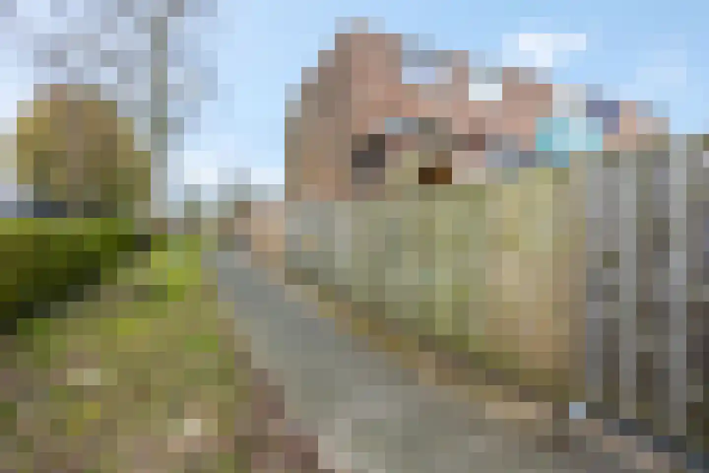 Ravenburg 9 Ede thumbnail 68