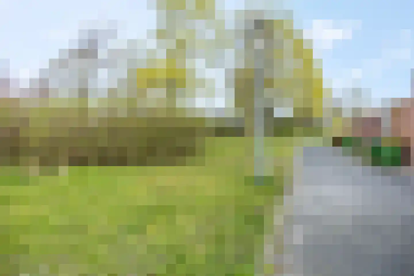 Ravenburg 9 Ede thumbnail 70