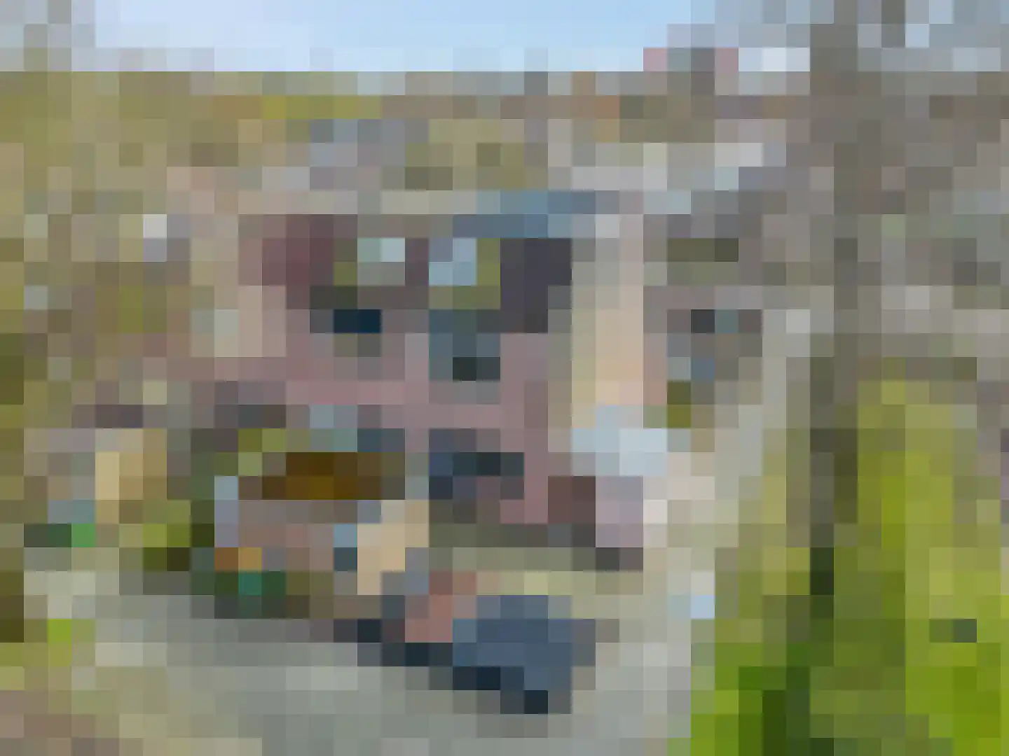 Ravenburg 9 Ede thumbnail 72