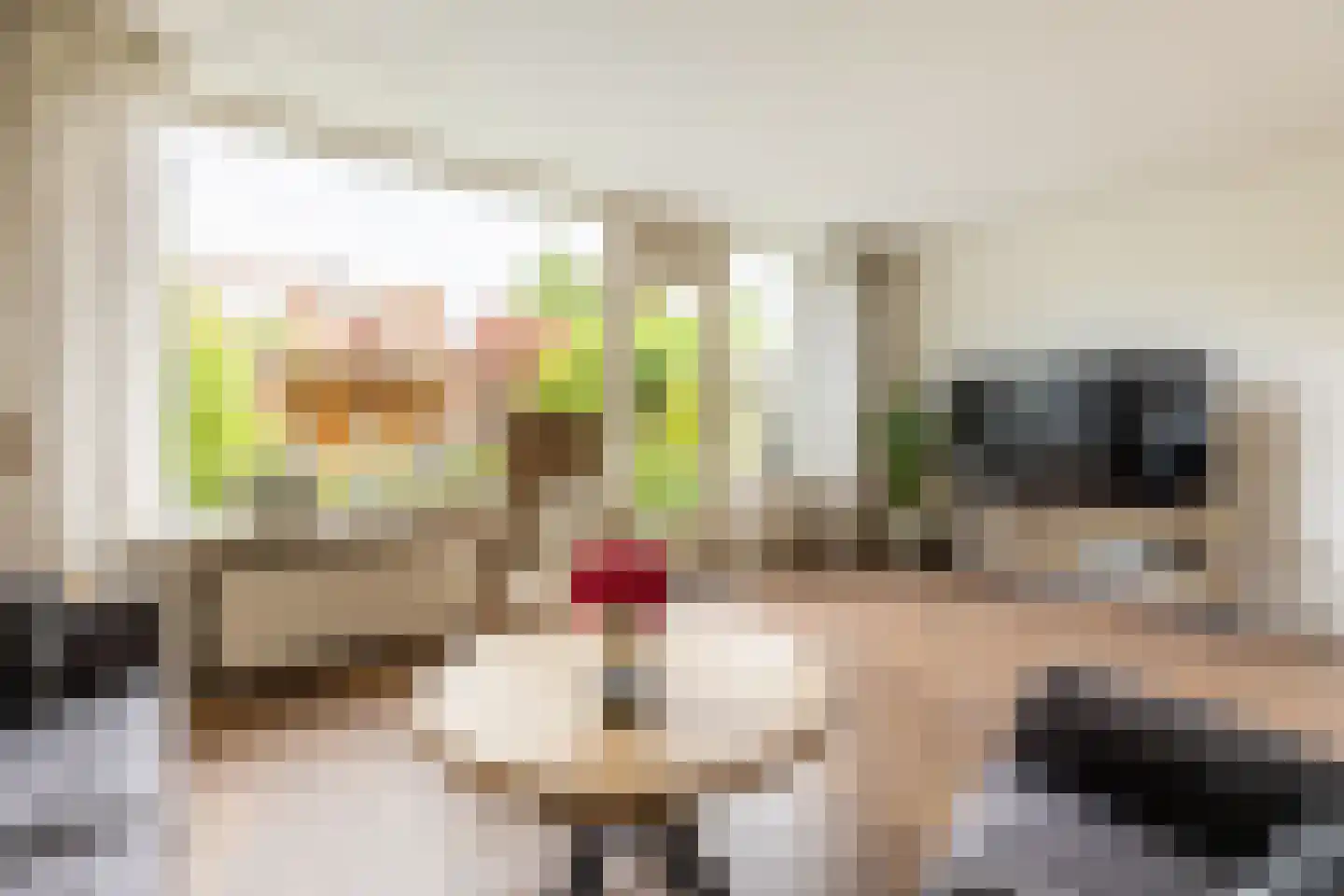 Ravendaal 15 Nieuwerkerk aan den IJssel thumbnail 17