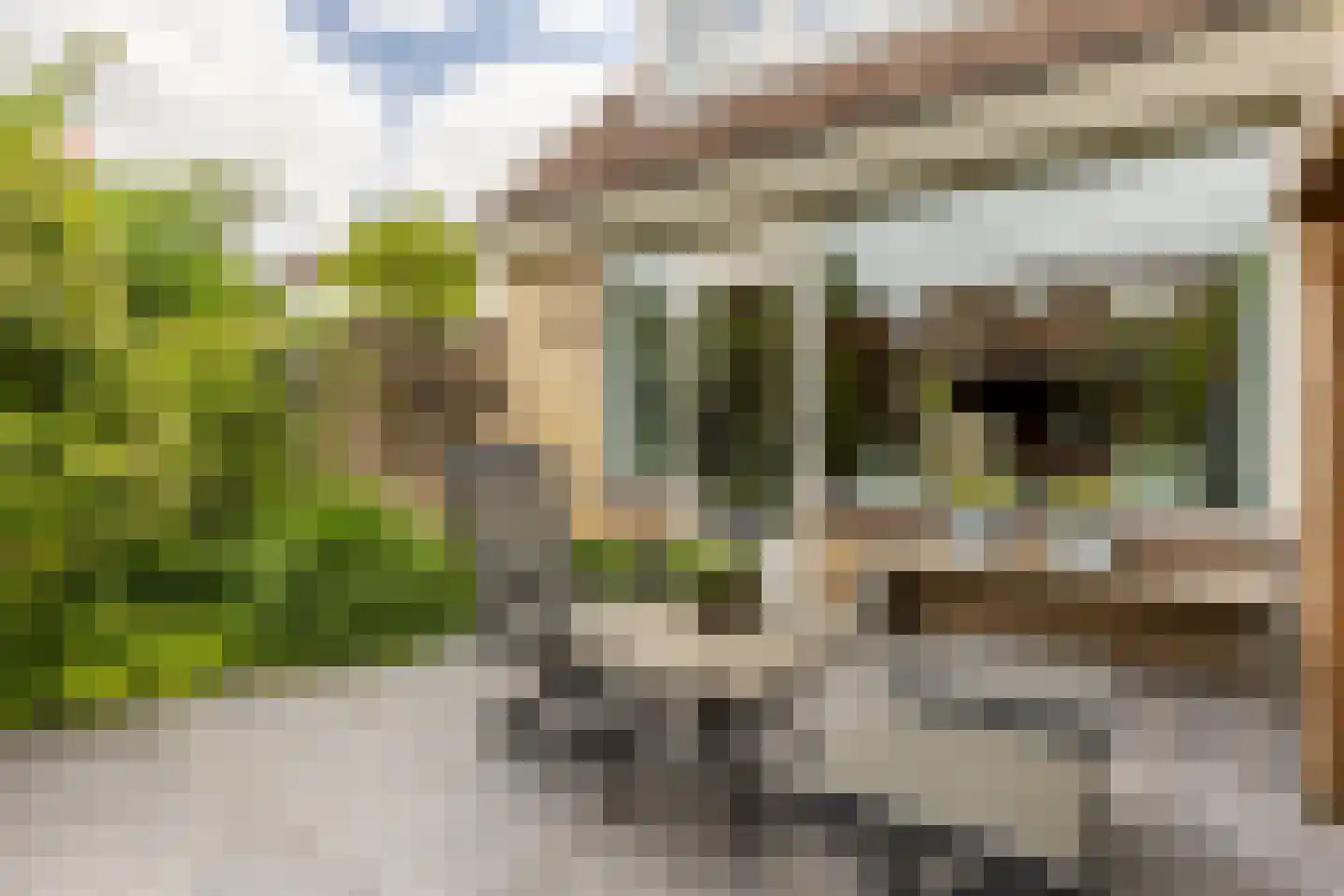 Ravendaal 15 Nieuwerkerk aan den IJssel thumbnail 18