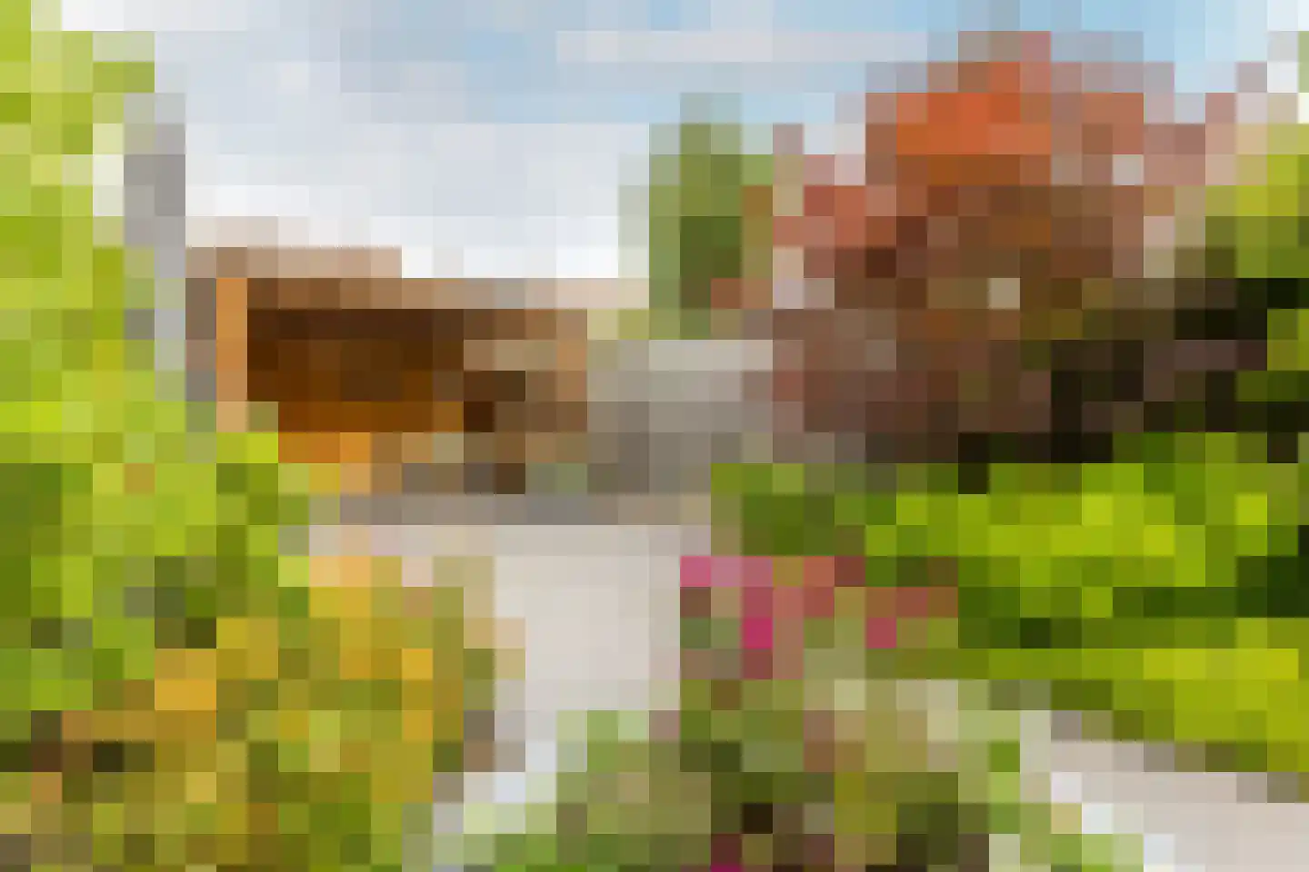 Ravendaal 15 Nieuwerkerk aan den IJssel thumbnail 22