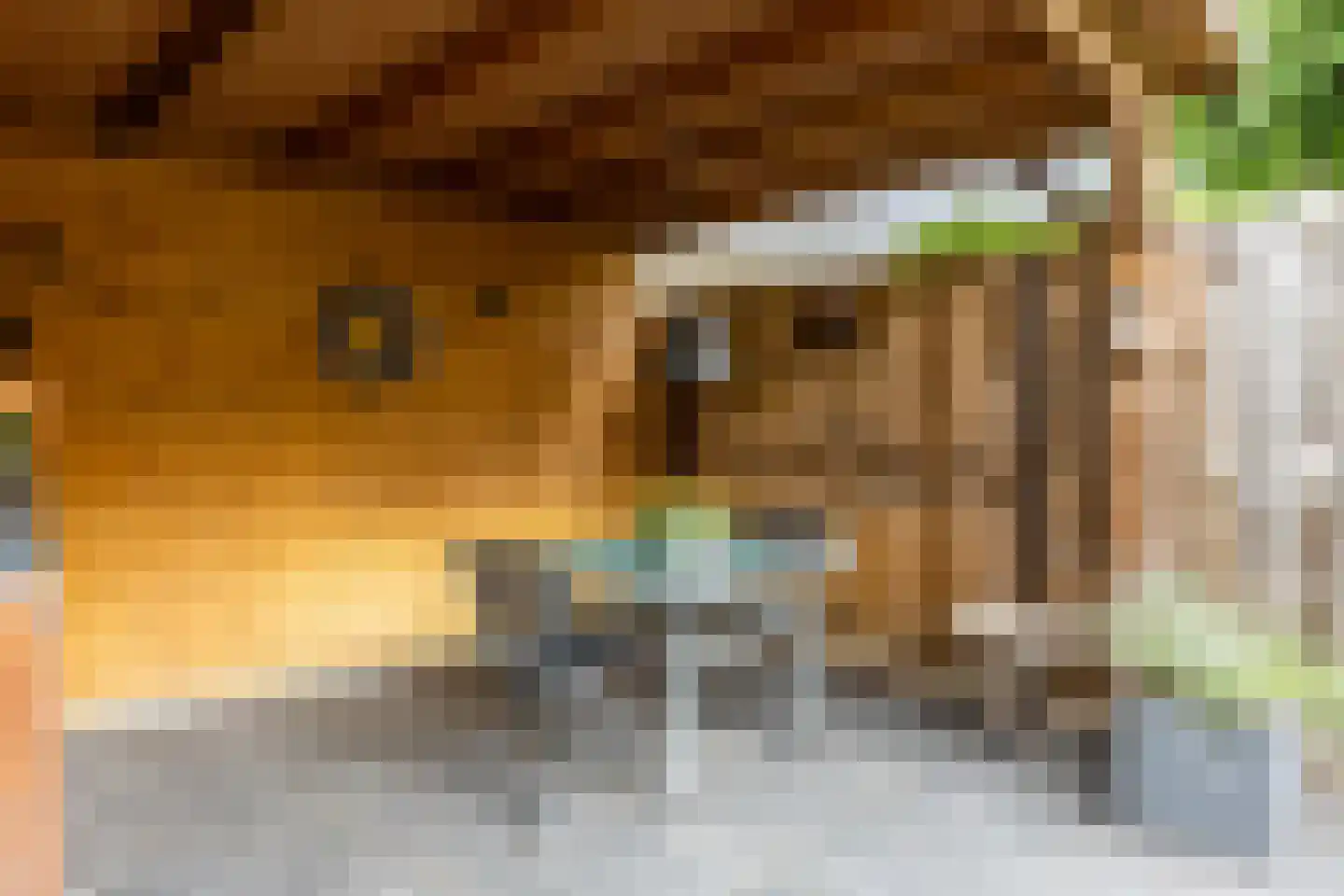 Ravendaal 15 Nieuwerkerk aan den IJssel thumbnail 24