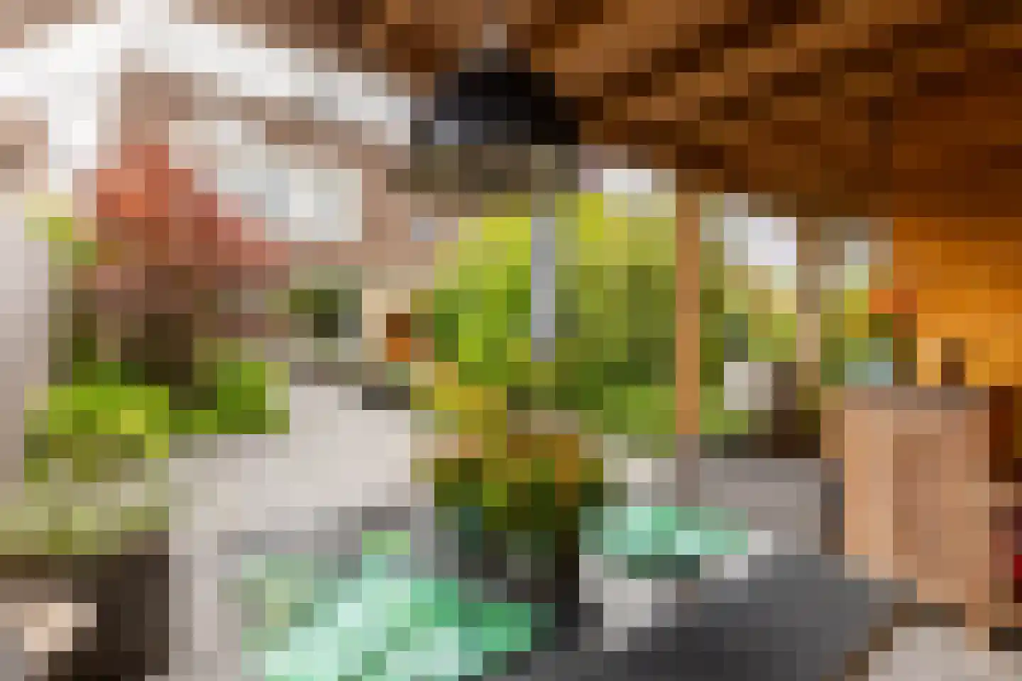 Ravendaal 15 Nieuwerkerk aan den IJssel thumbnail 25