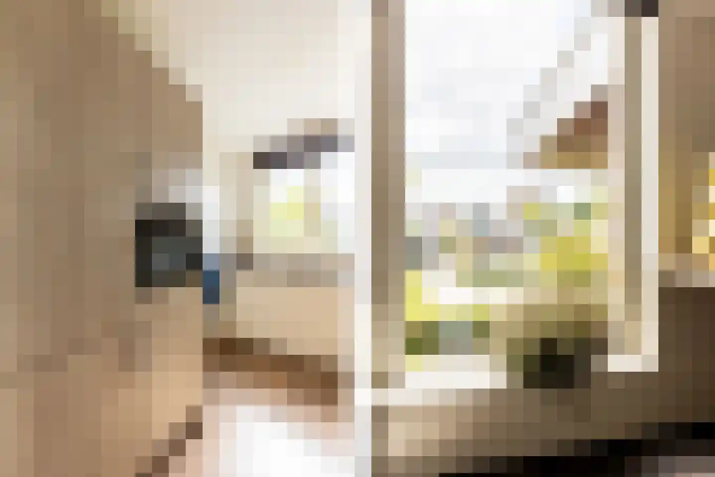 Ravendaal 15 Nieuwerkerk aan den IJssel thumbnail 34