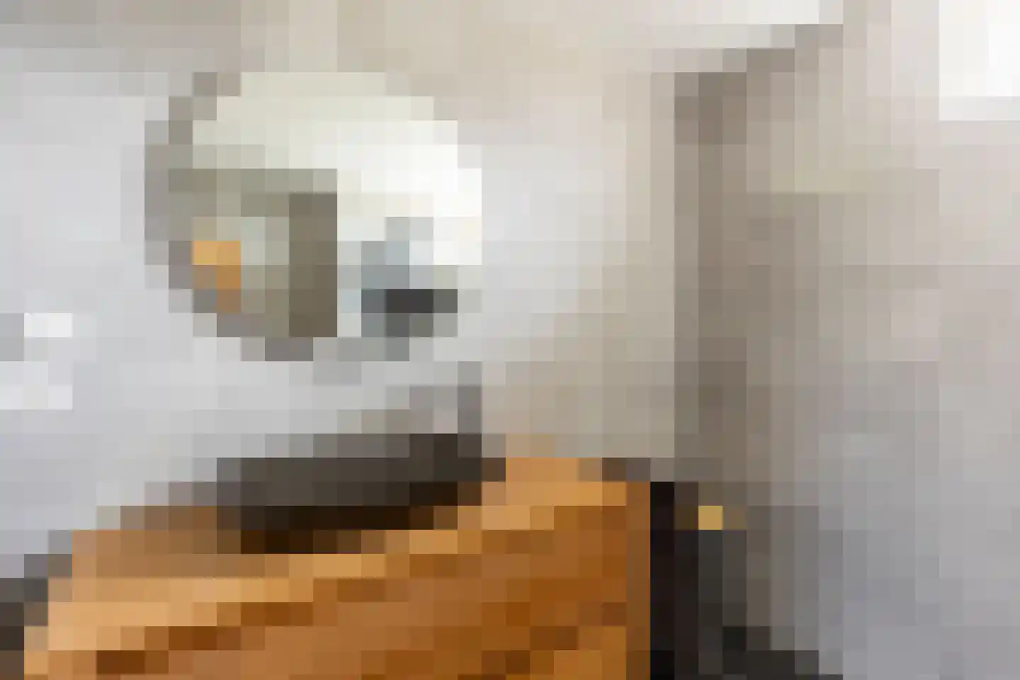 Ravendaal 15 Nieuwerkerk aan den IJssel thumbnail 5