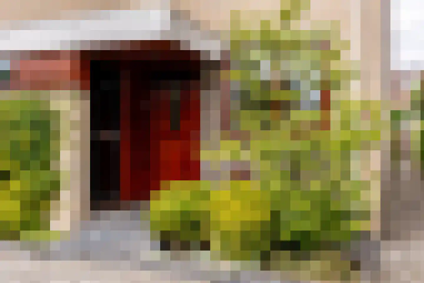 Ravendaal 15 Nieuwerkerk aan den IJssel thumbnail 8