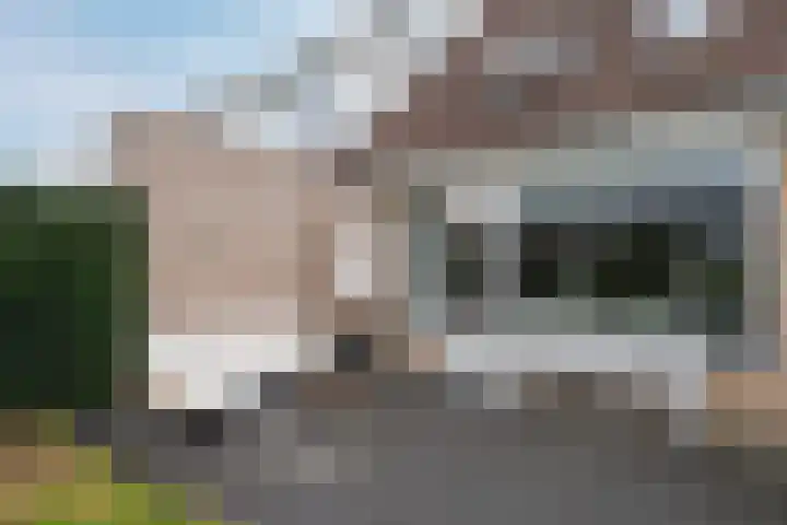 Ravendaal 19 Nieuwerkerk aan den IJssel thumbnail 24