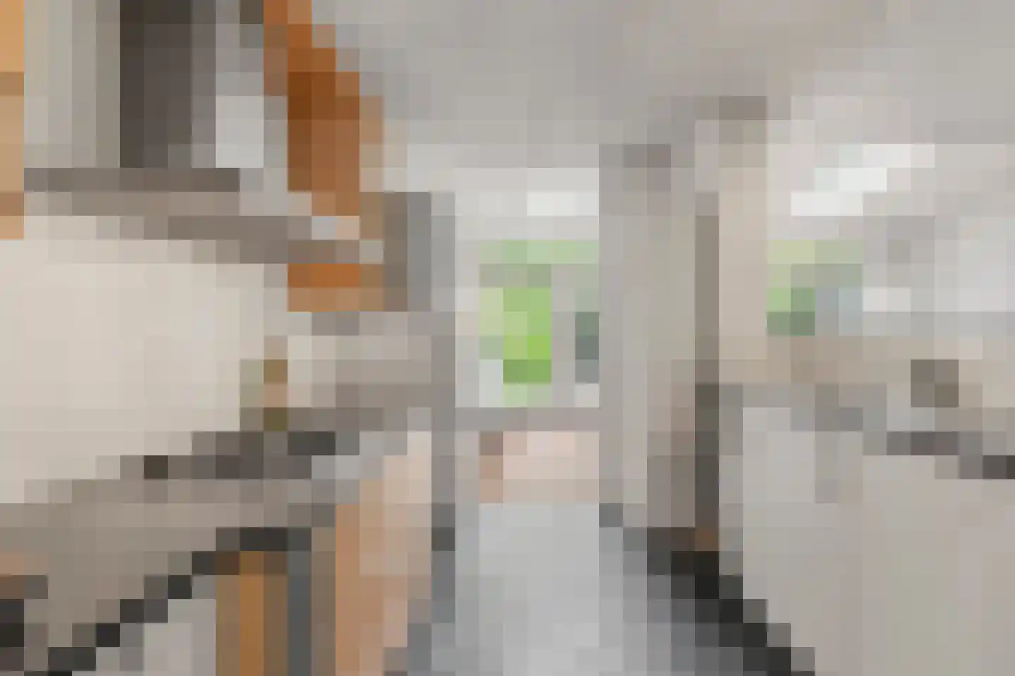Ravenhorst 19 Leusden thumbnail 14
