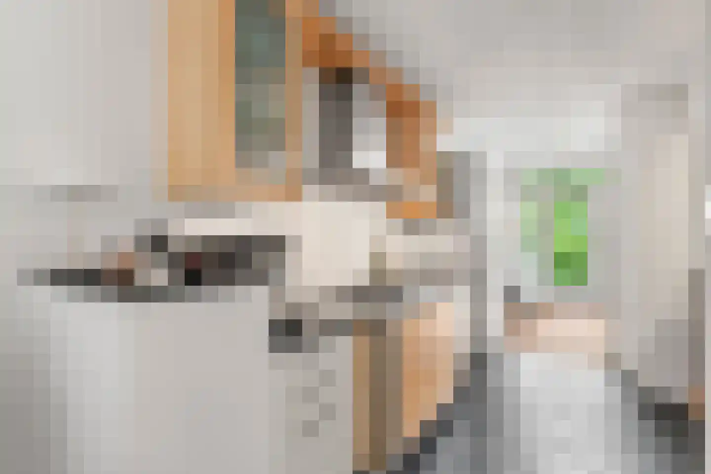 Ravenhorst 19 Leusden thumbnail 15