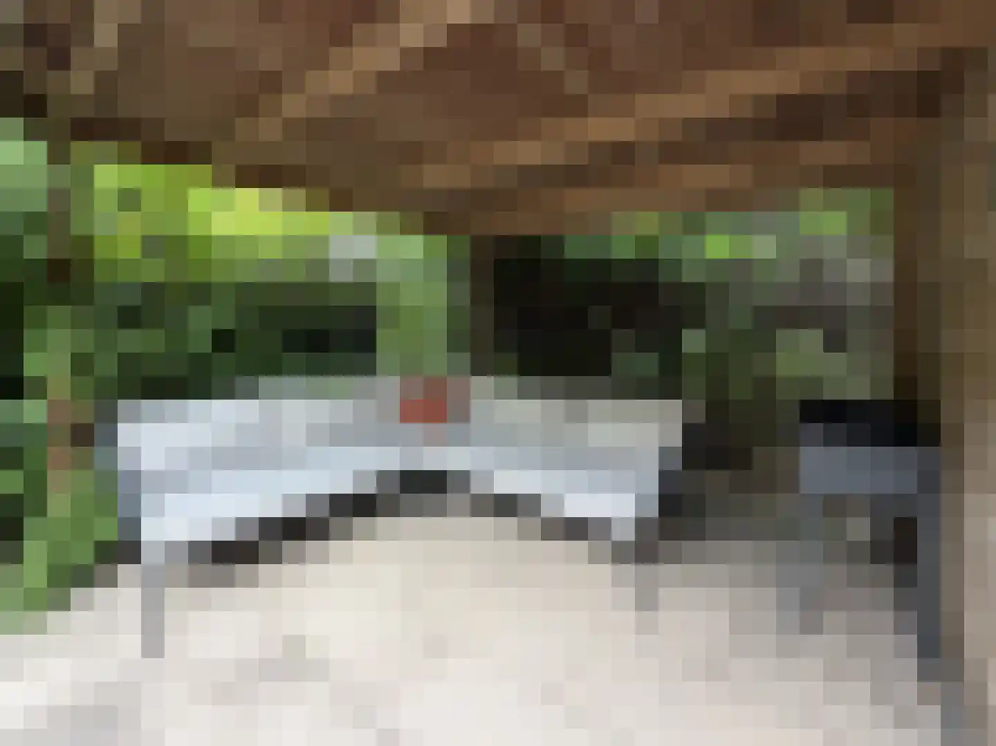 Ravenhorst 19 Leusden thumbnail 30