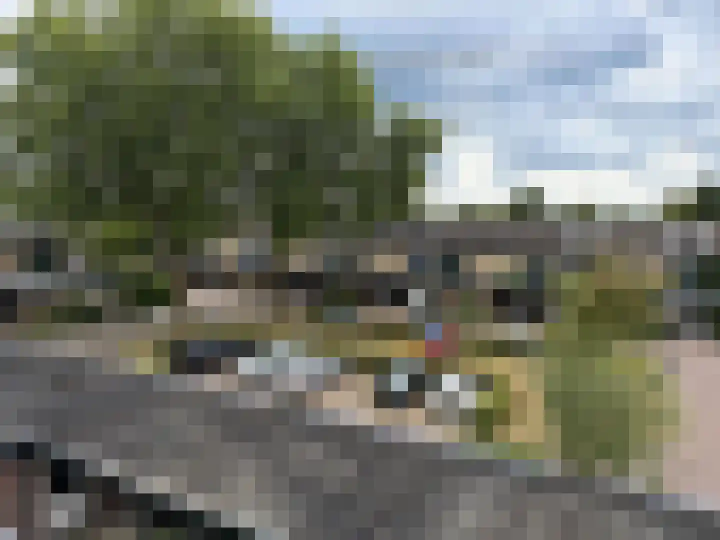 Ravenhorst 19 Leusden thumbnail 32