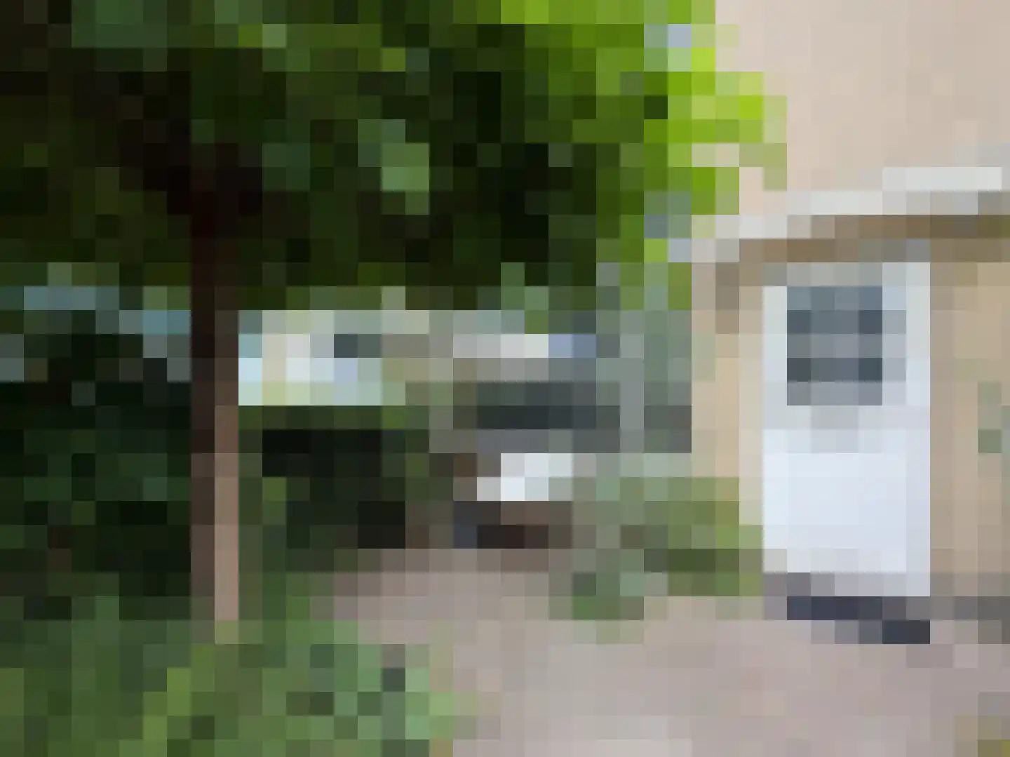 Ravenhorst 19 Leusden thumbnail 33