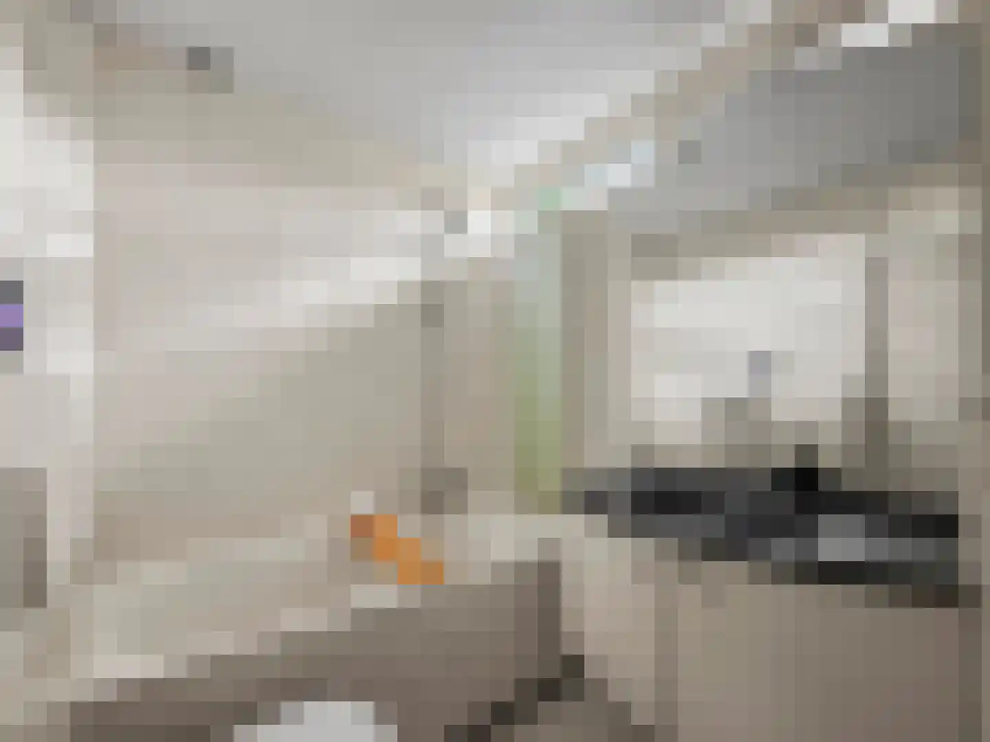 Ravenhorst 19 Leusden thumbnail 6