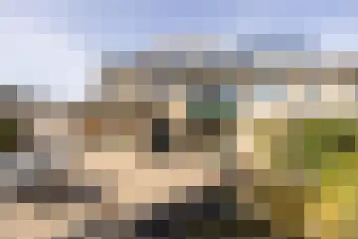 Ravenhorst 28 Leusden thumbnail 39