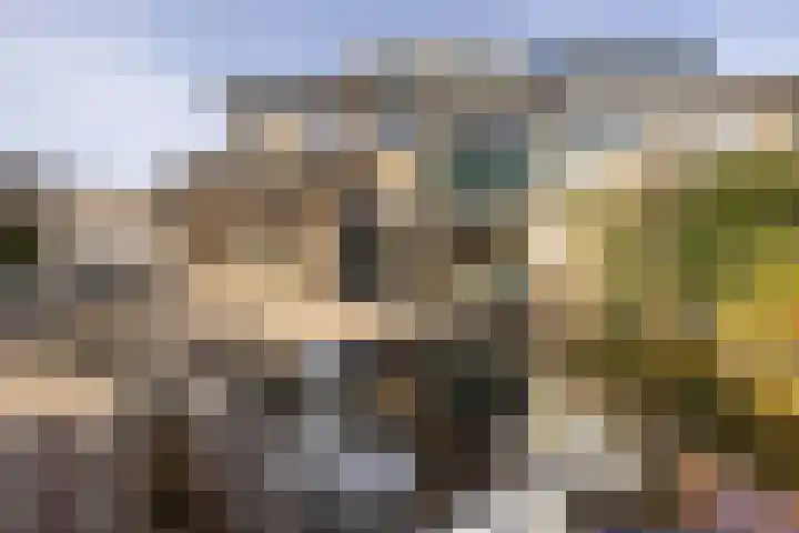 Ravenhorst 28 Leusden thumbnail 42