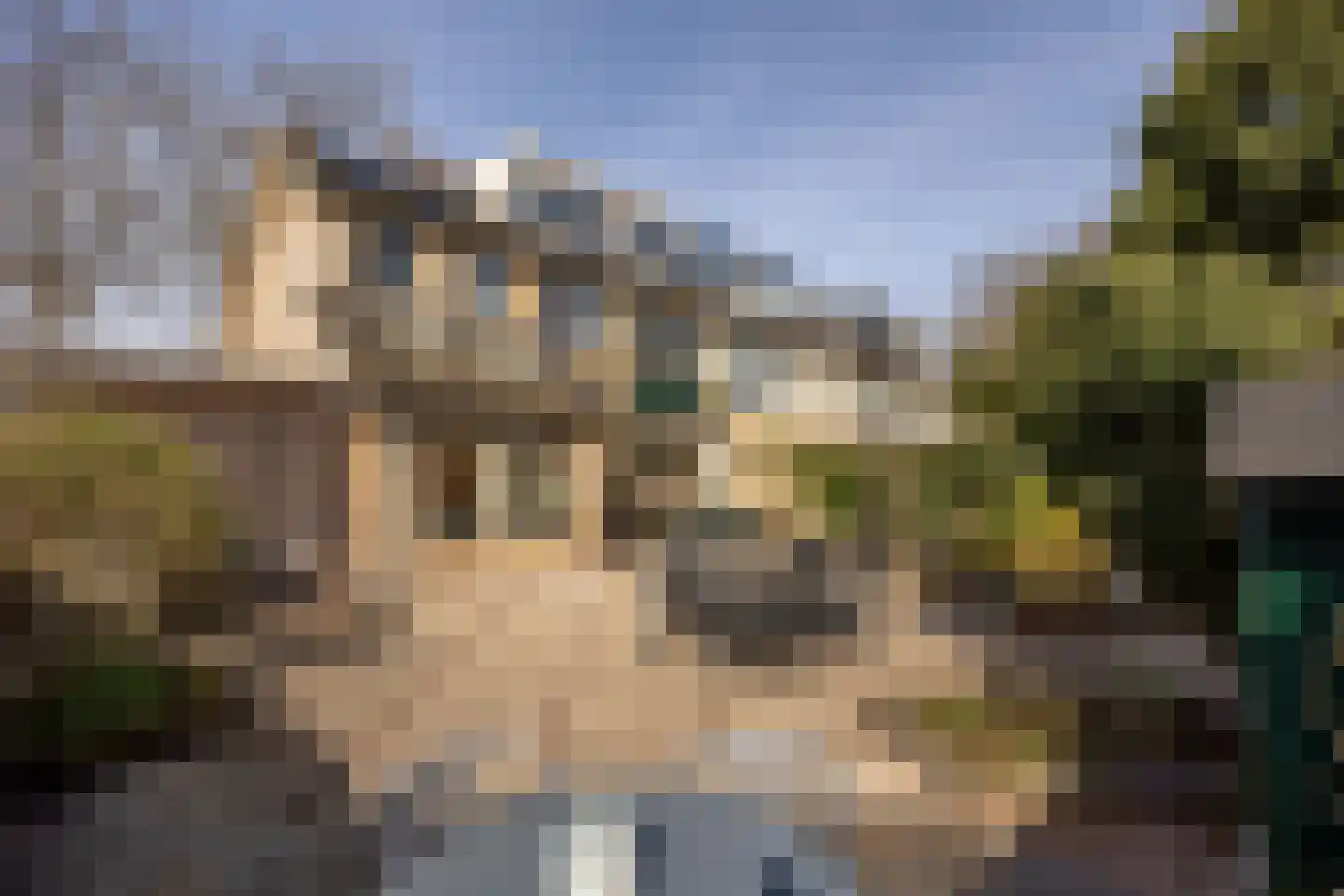 Ravenhorst 28 Leusden thumbnail 44