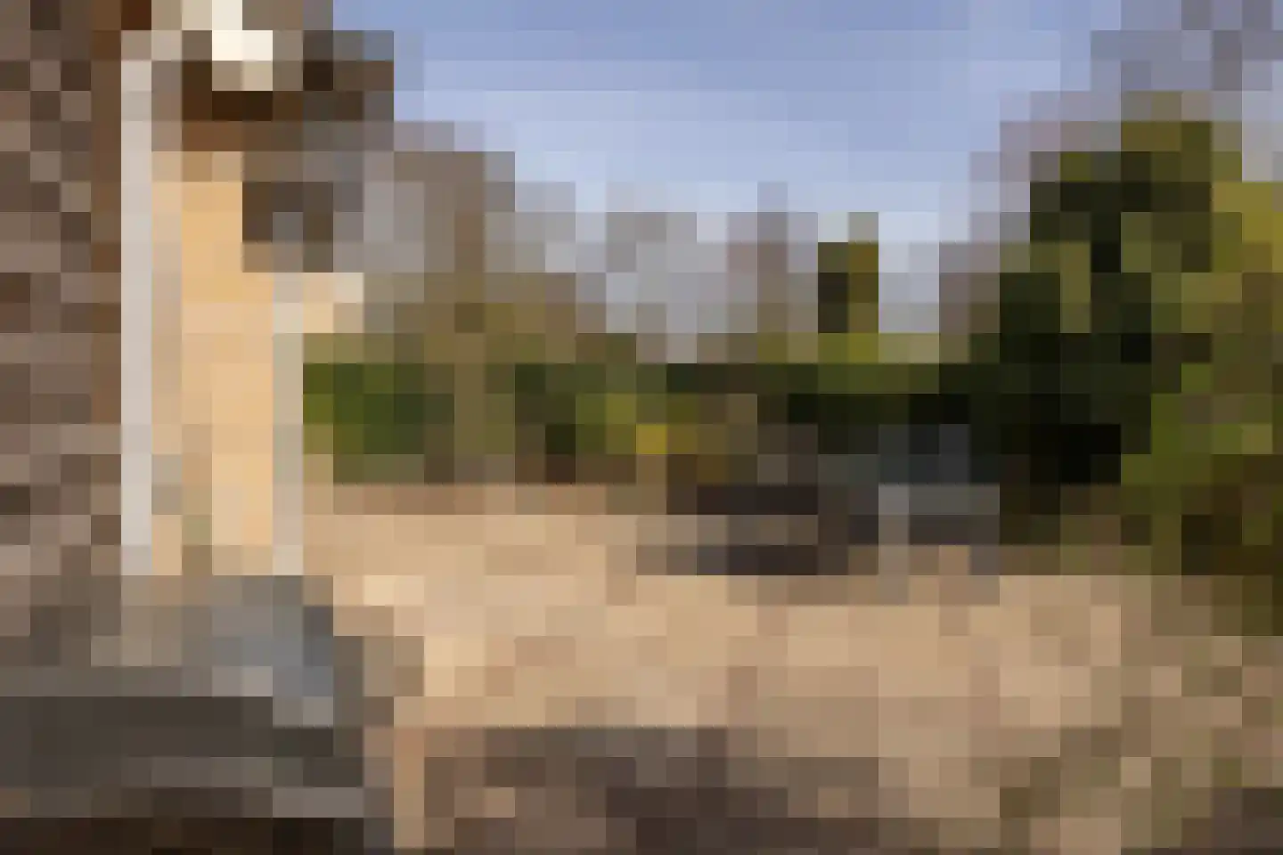 Ravenhorst 28 Leusden thumbnail 45
