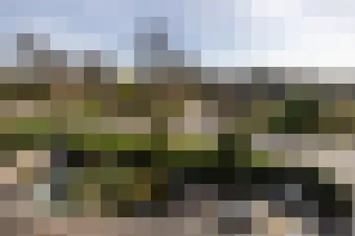 Ravenhorst 28 Leusden thumbnail 46