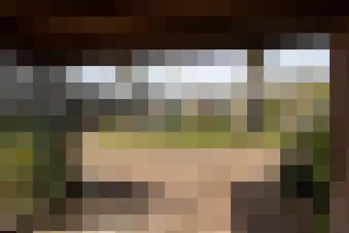 Ravenhorst 28 Leusden thumbnail 47