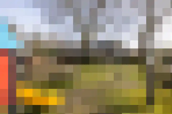 Ravenhorst 28 Leusden thumbnail 48