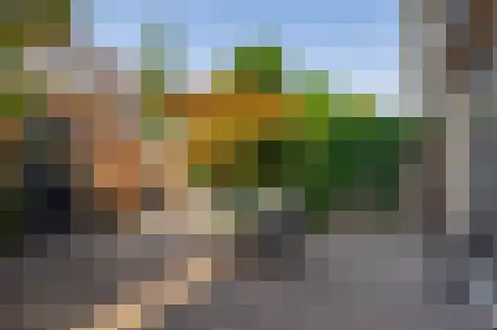 Ravenhorst 31 Rotterdam thumbnail 17