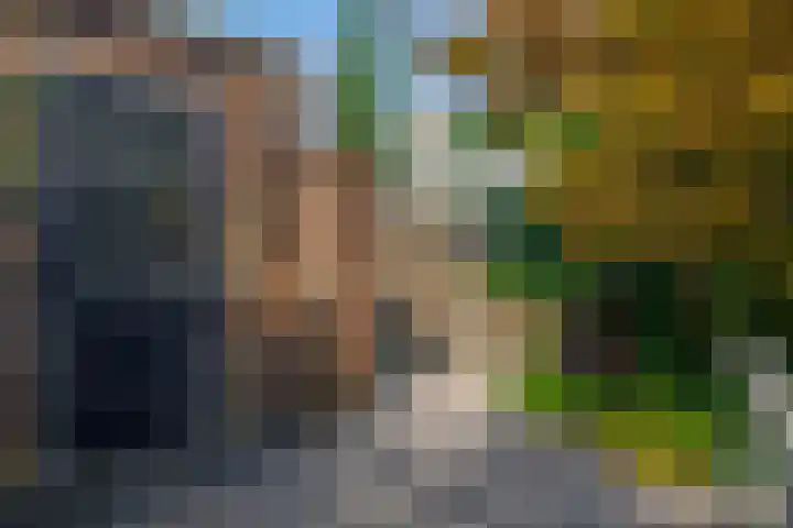 Ravenhorst 31 Rotterdam thumbnail 20
