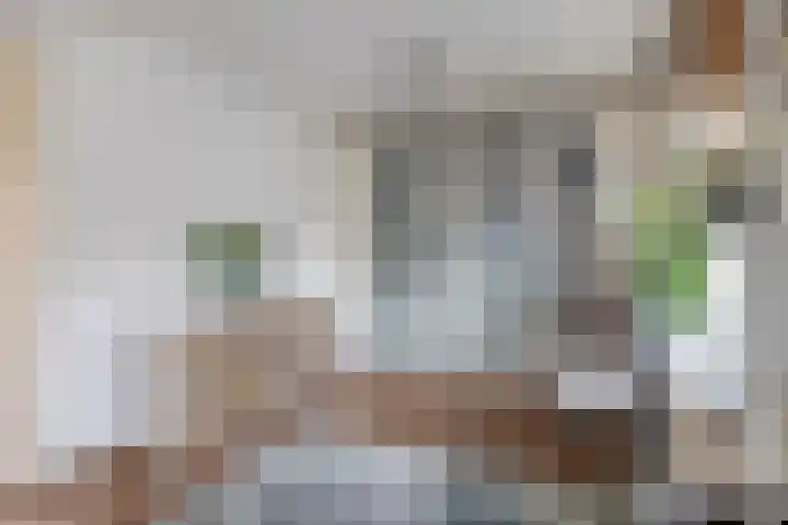 Ravenhorst 31 Rotterdam thumbnail 26
