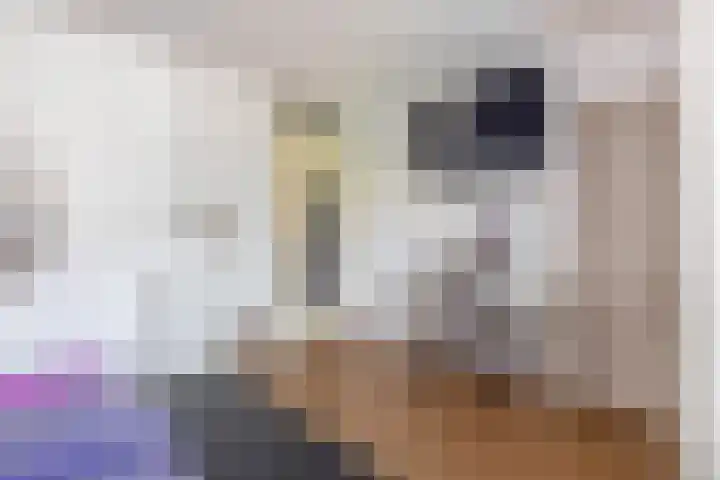 Ravenhorst 31 Rotterdam thumbnail 30