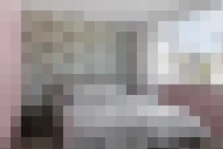 Ravenhorst 40 Rietmolen thumbnail 27