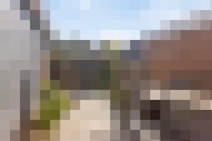 Ravenhorst 40 Rietmolen thumbnail 32