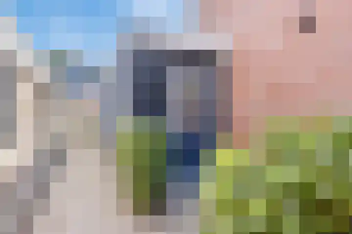 Ravenhorst 40 Rietmolen thumbnail 36