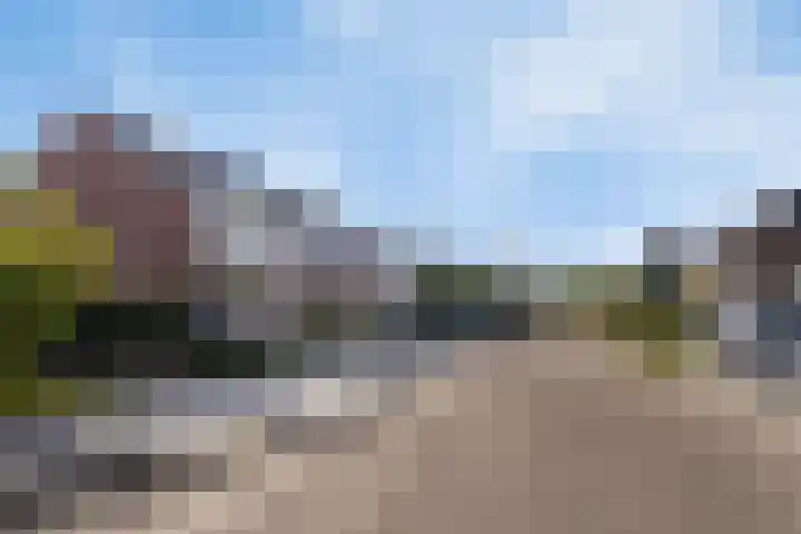 Ravenhorst 40 Rietmolen thumbnail 37