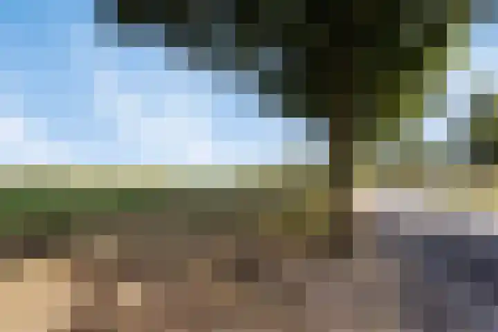 Ravenhorst 40 Rietmolen thumbnail 38