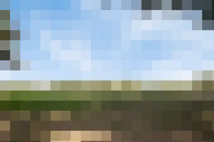 Ravenhorst 40 Rietmolen thumbnail 39