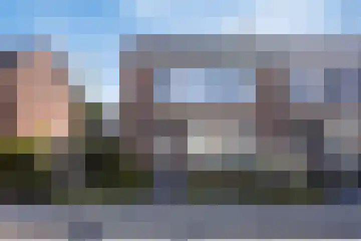 Ravenhorst 40 Rietmolen thumbnail 4