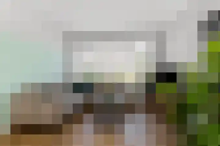 Ravenhorst 40 Rietmolen thumbnail 7