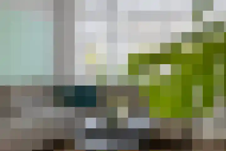 Ravenhorst 40 Rietmolen thumbnail 8