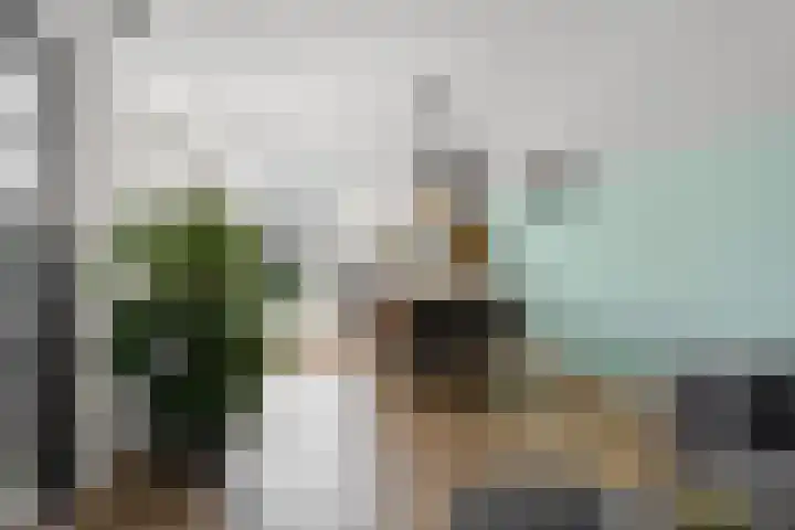 Ravenhorst 40 Rietmolen thumbnail 9