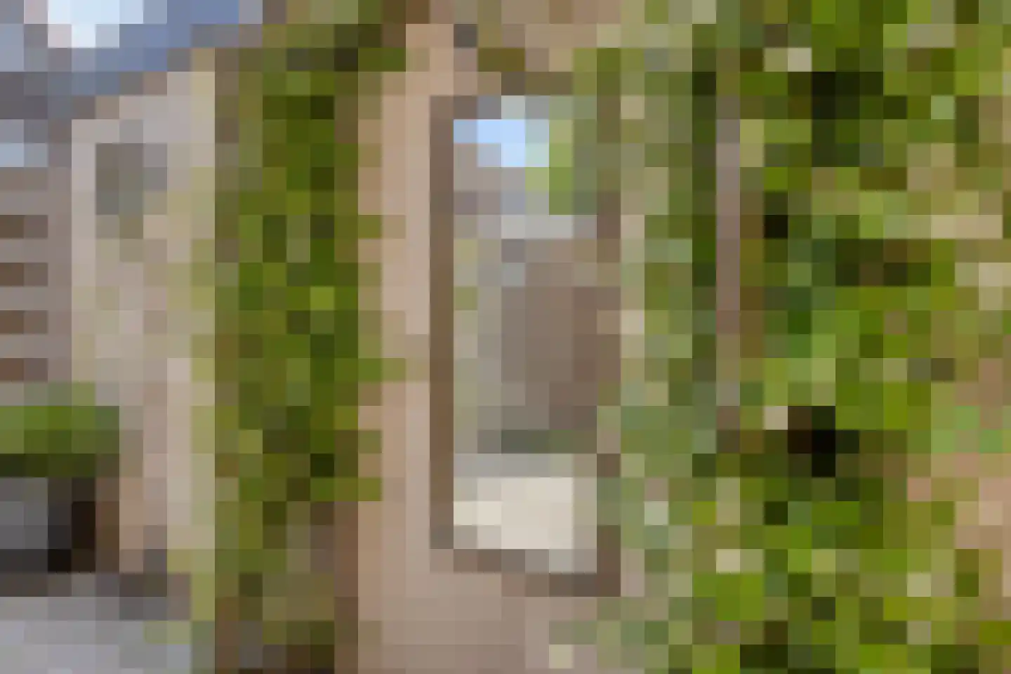 Ravenhorst 44 Rietmolen thumbnail 27