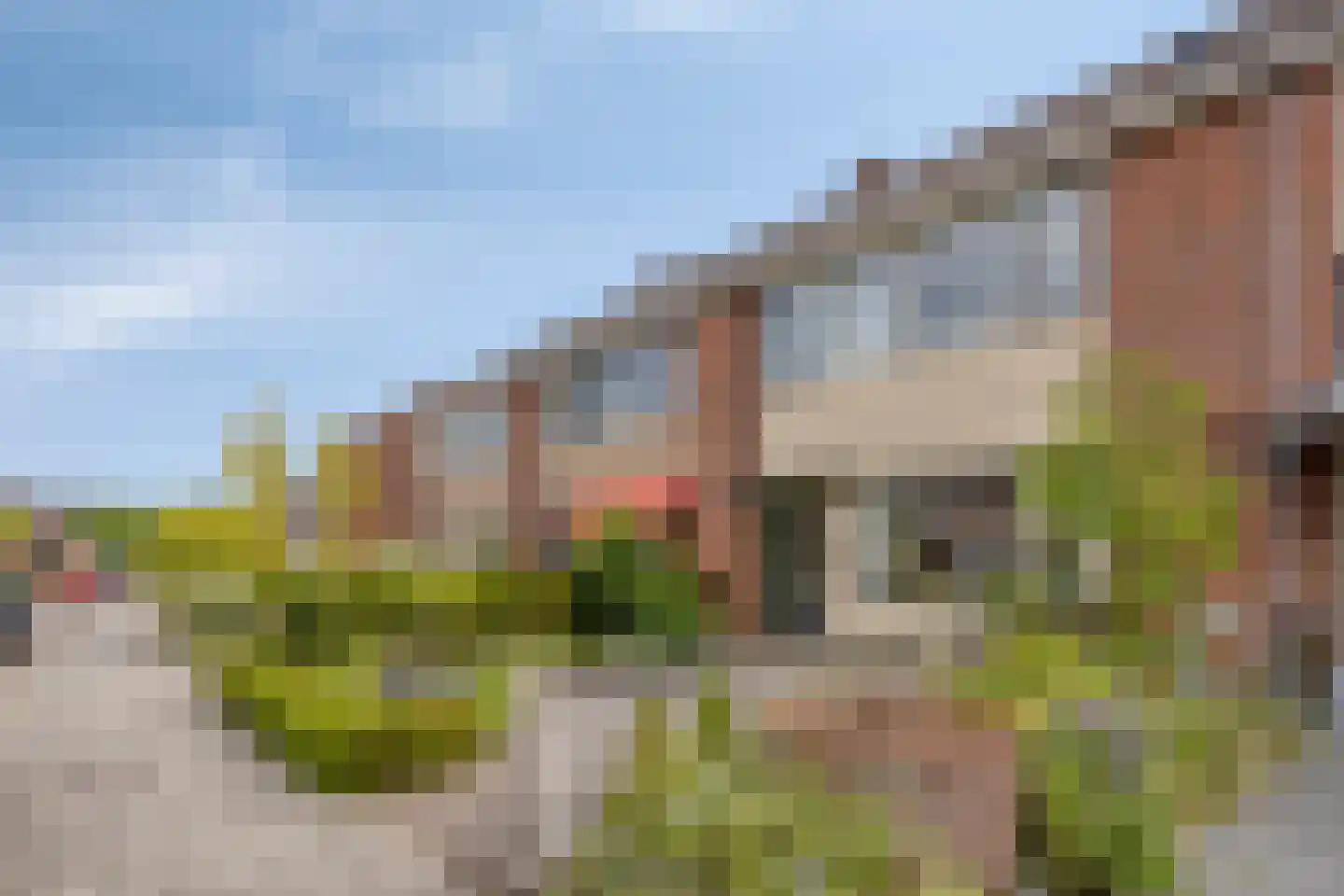Ravenhorst 44 Rietmolen thumbnail 30
