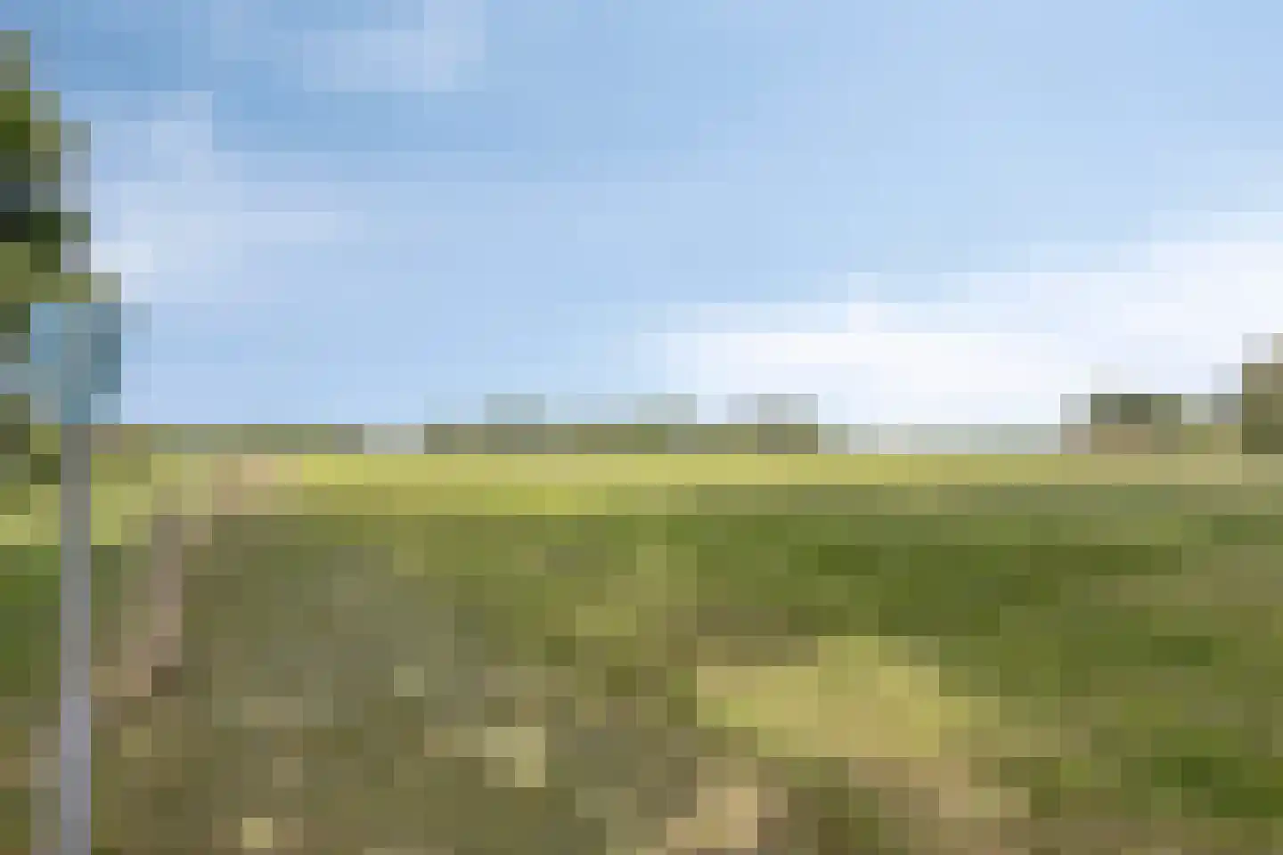 Ravenhorst 44 Rietmolen thumbnail 31