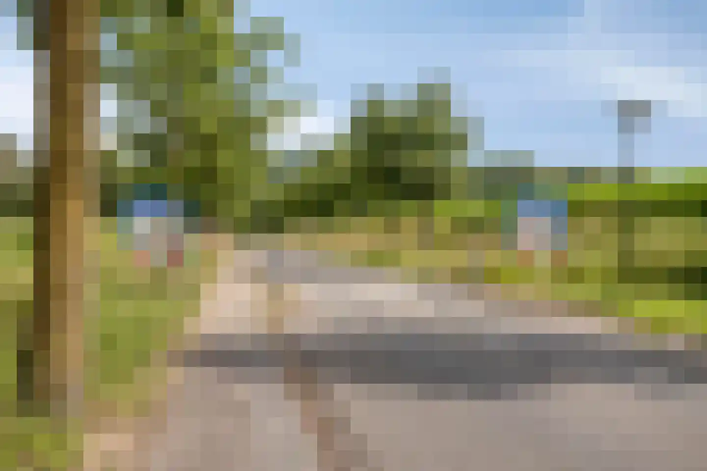 Ravenhorst 44 Rietmolen thumbnail 32