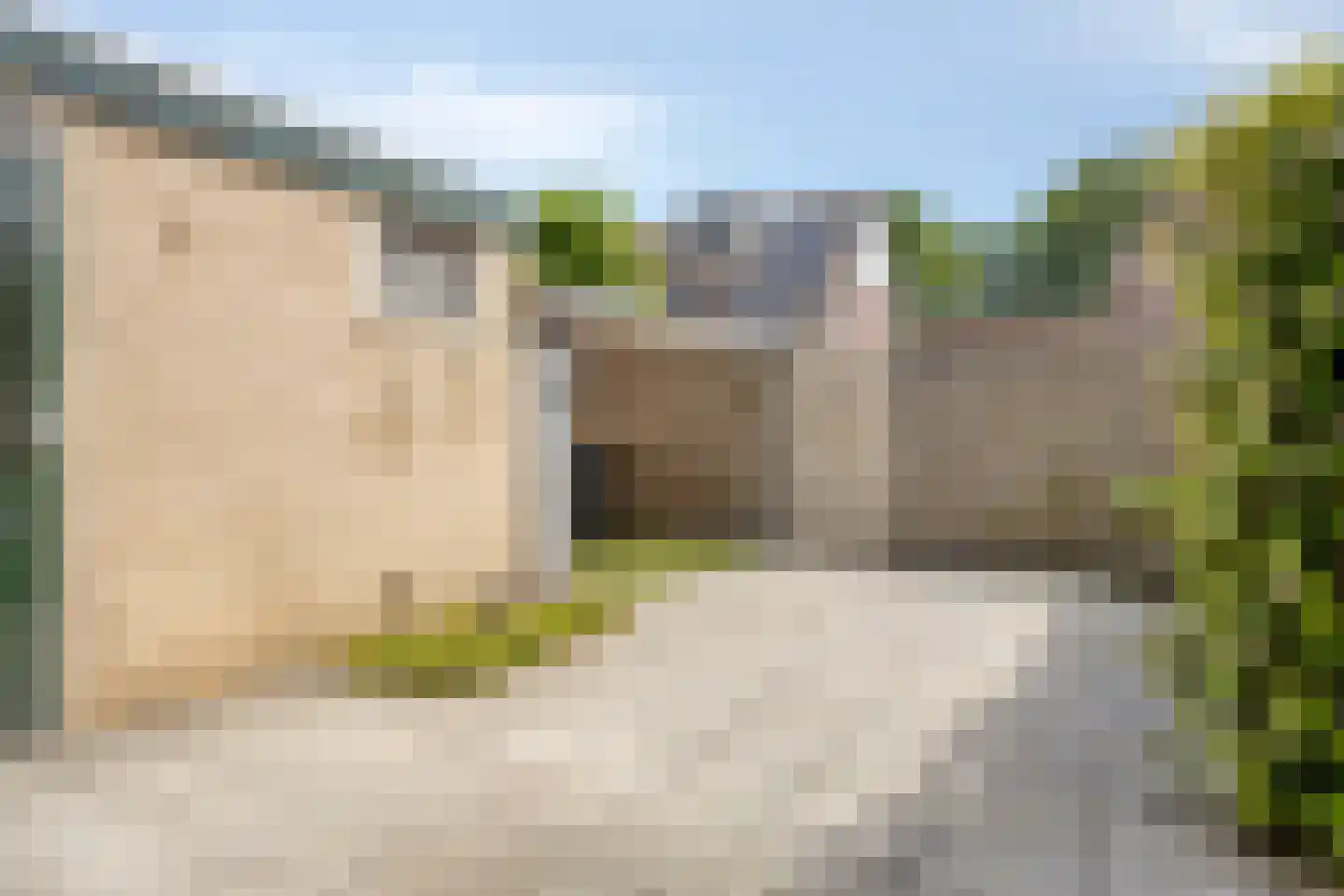 Ravenhorst 44 Rietmolen thumbnail 4