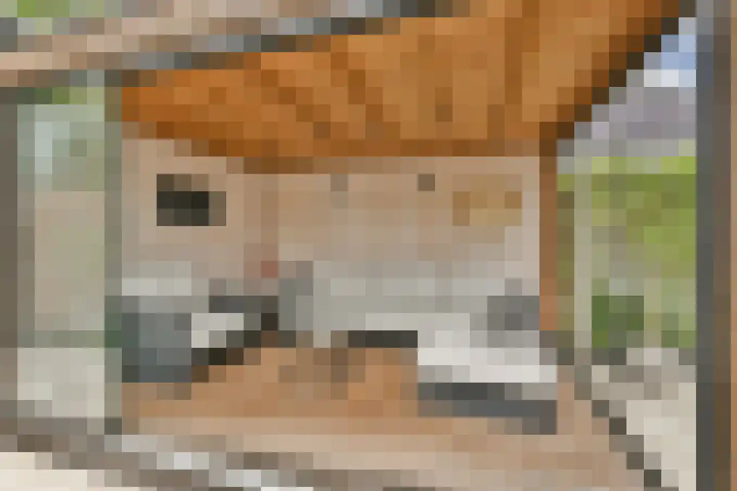 Ravenlaan 14 Blaricum thumbnail 20