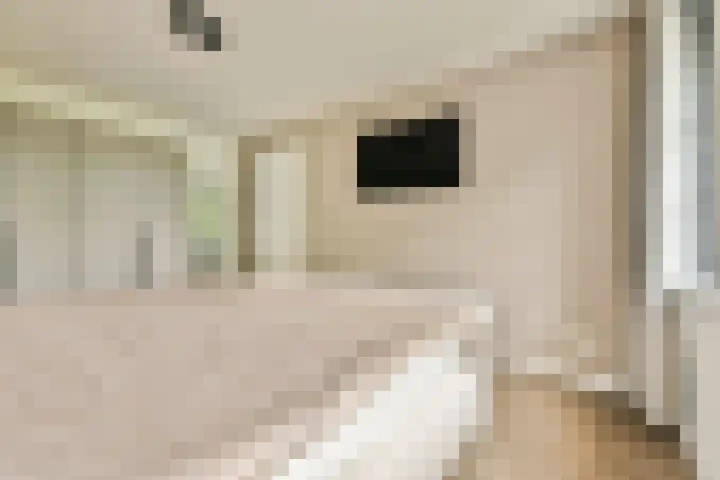 Ravenlaan 14 Blaricum thumbnail 25