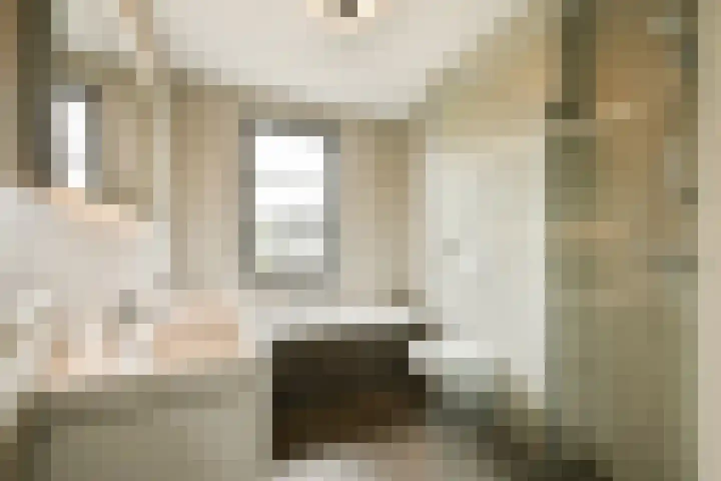 Ravenlaan 14 Blaricum thumbnail 26