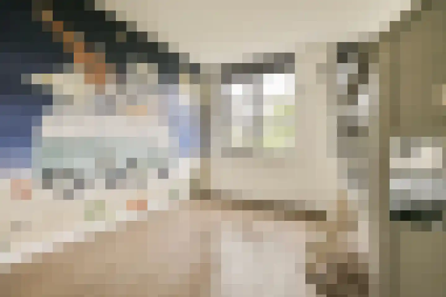 Ravenlaan 14 Blaricum thumbnail 27