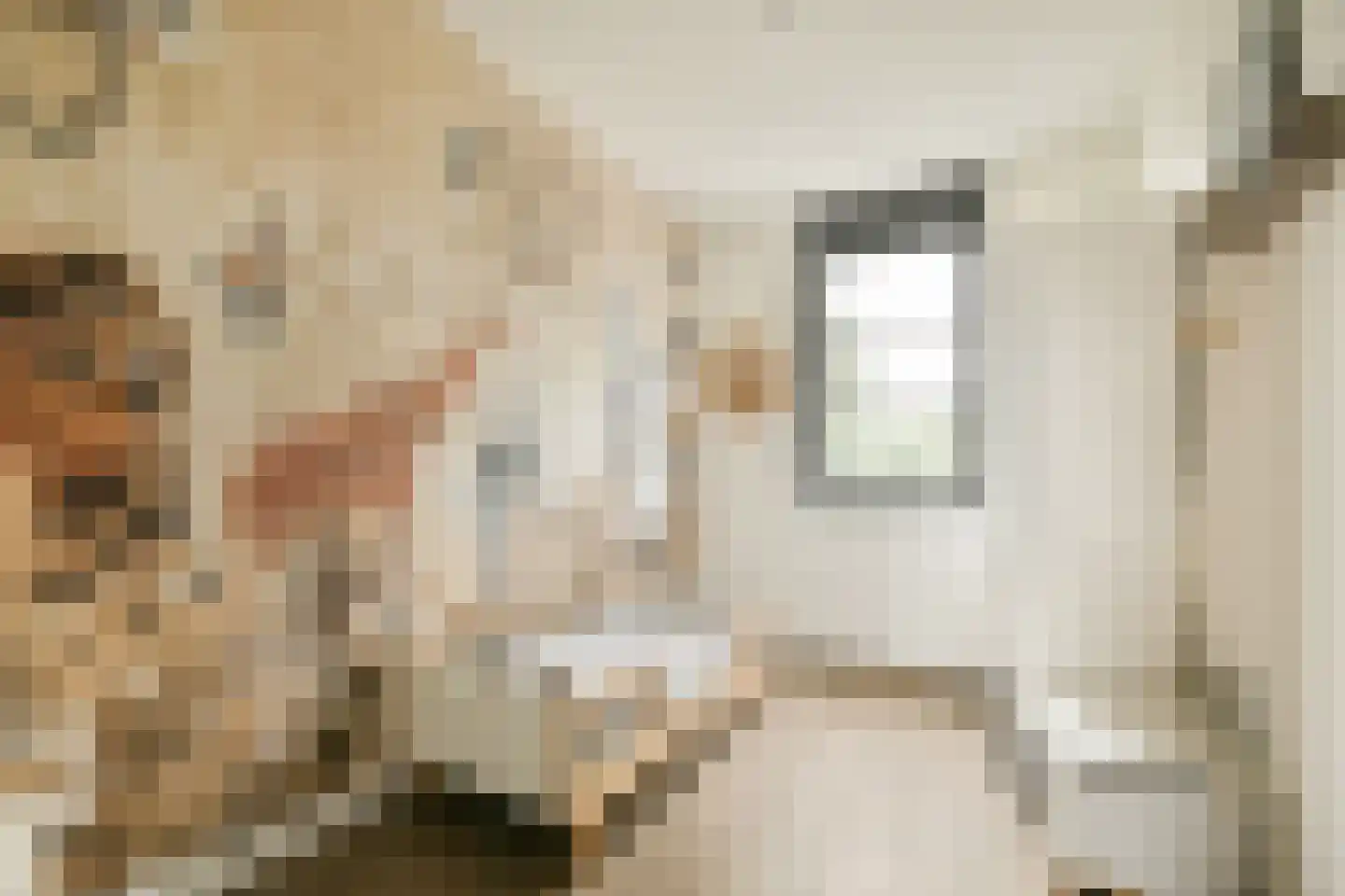 Ravenlaan 14 Blaricum thumbnail 29